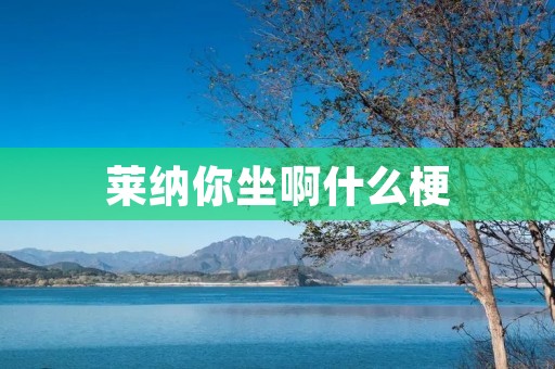 莱纳你坐啊什么梗