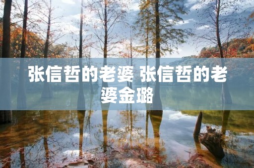 张信哲的老婆 张信哲的老婆金璐