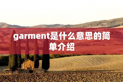 garment是什么意思的简单介绍