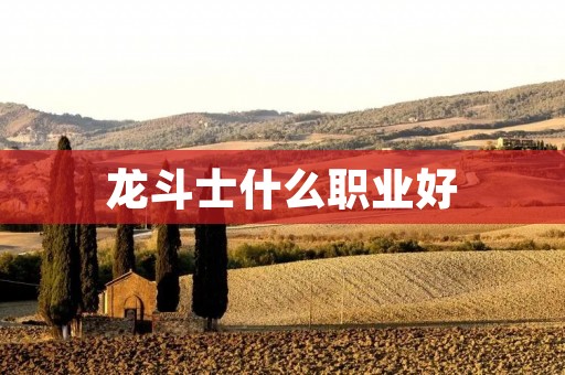 龙斗士什么职业好