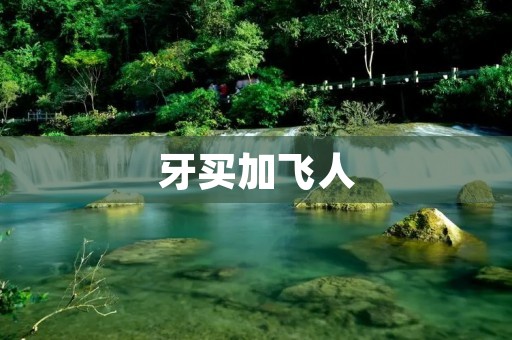牙买加飞人：超越极限的速度之旅
