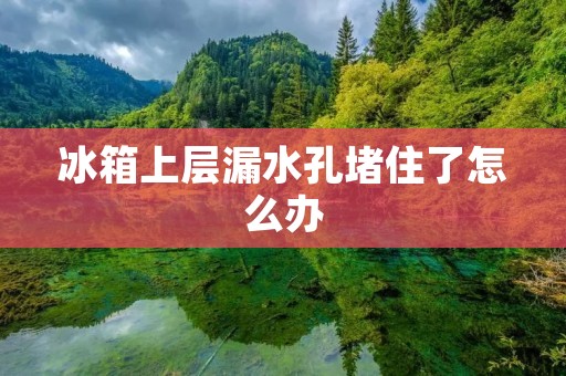 冰箱上层漏水孔堵住了怎么办 冰箱上层漏水孔堵住了怎么办