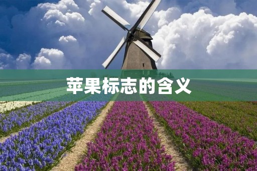 苹果标志的含义:探寻苹果标志背后的深意 苹果标志的含义:探寻苹果标志背后的深意