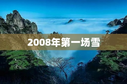 2008年第一场雪:冬日初雪的美丽与寓意 2008年第一场雪:冬日初雪的美丽与寓意