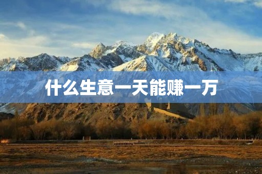 什么生意一天能赚一万 什么生意一天能赚一万