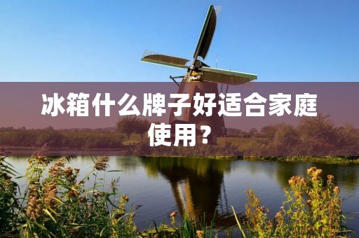 冰箱什么牌子好适合家庭使用？