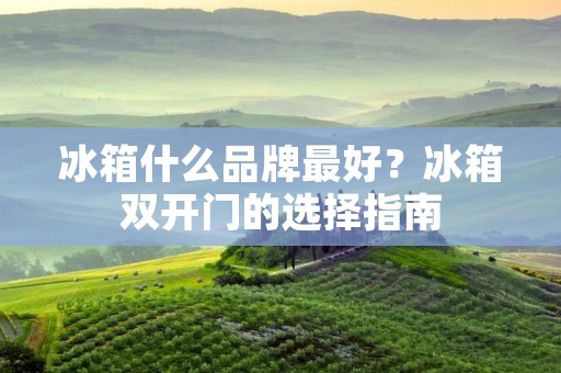 冰箱什么品牌最好？冰箱双开门的选择指南