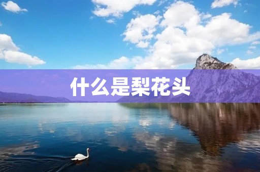 什么是梨花头 什么是梨花头