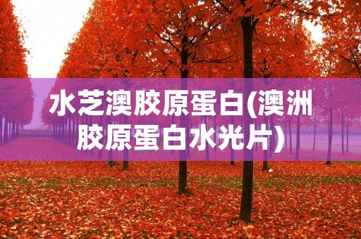 水芝澳胶原蛋白(澳洲胶原蛋白水光片)