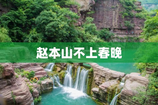 赵本山不上春晚：舞台上的一抹缺憾