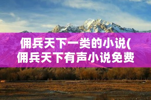 佣兵天下一类的小说(佣兵天下有声小说免费听)