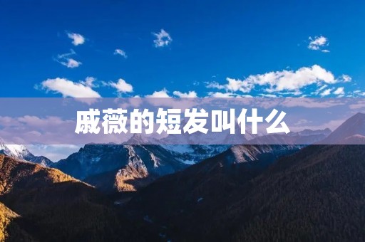 戚薇的短发叫什么