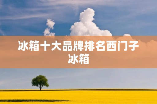 冰箱十大品牌排名西门子冰箱：为您带来高品质冷藏体验