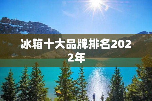 冰箱十大品牌排名2022年：品质与创新的竞争之战