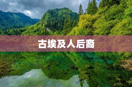 古埃及人后裔:探寻失落的文明传承 古埃及人后裔:探寻失落的文明传承
