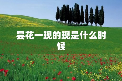 昙花一现的现是什么时候
