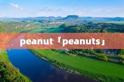 peanut「peanuts」