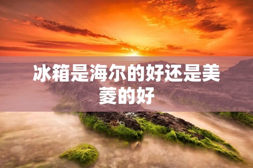 冰箱是海尔的好还是美菱的好:一场冷藏储存的较量 冰箱是海尔的好还是美菱的好:一场冷藏储存的较量