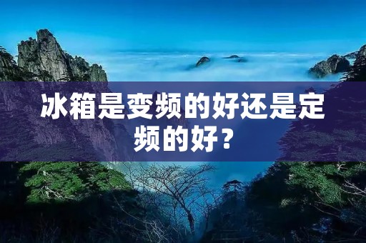 冰箱是变频的好还是定频的好? 冰箱是变频的好还是定频的好?