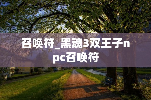 召唤符_黑魂3双王子npc召唤符