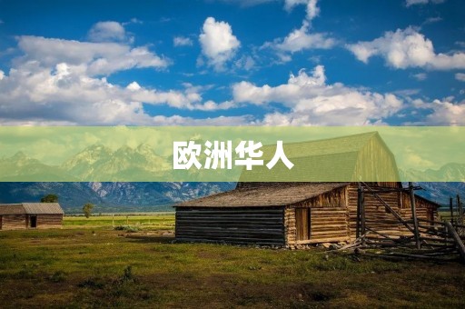 欧洲华人:他们在异国他乡的生活和奋斗 欧洲华人:他们在异国他乡的生活和奋斗