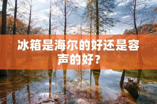 冰箱是海尔的好还是容声的好? 冰箱是海尔的好还是容声的好?