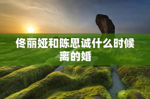 佟丽娅和陈思诚什么时候离的婚 佟丽娅和陈思诚什么时候离的婚