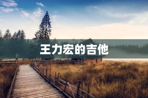 王力宏的吉他:音乐之路上的华丽征程 王力宏的吉他:音乐之路上的华丽征程