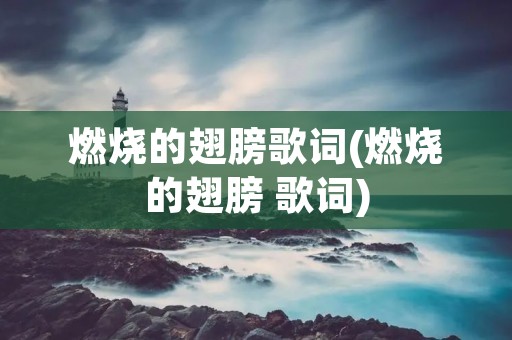 燃烧的翅膀歌词(燃烧的翅膀 歌词)