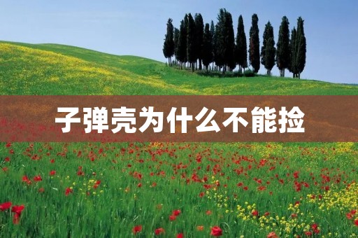 子弹壳为什么不能捡 子弹壳为什么不能捡