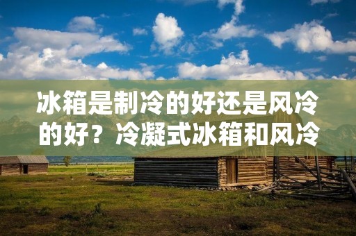 冰箱是制冷的好还是风冷的好？冷凝式冰箱和风冷式冰箱哪个更适合您的需求？这是许多消费者在购买冰箱时常常犹豫的问题。本文将从制冷效果、能耗、噪音和价格等方面对冷凝式冰箱和风冷式冰箱进行比较，帮助您做出明智的选择。
