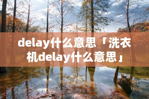 delay什么意思「洗衣机delay什么意思」 delay什么意思「洗衣机delay什么意思」
