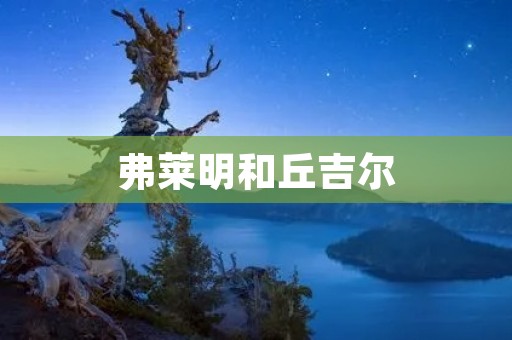弗莱明和丘吉尔：两位伟大人物的交集与影响