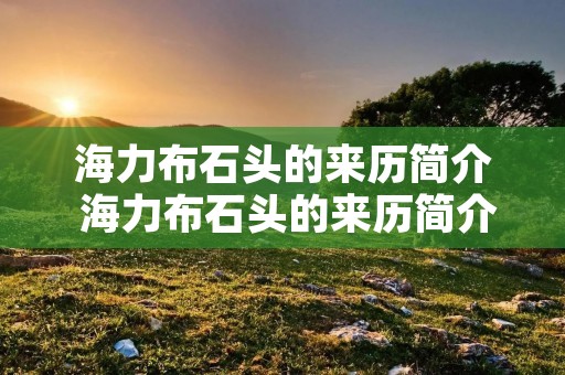 海力布石头的来历简介 海力布石头的来历简介200