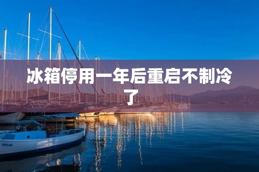 冰箱停用一年后重启不制冷了:原因与解决方法 冰箱停用一年后重启不制冷了:原因与解决方法