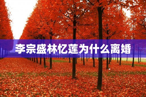 李宗盛林忆莲为什么离婚