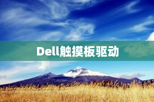 Dell触摸板驱动：解决触摸板问题的最佳选择