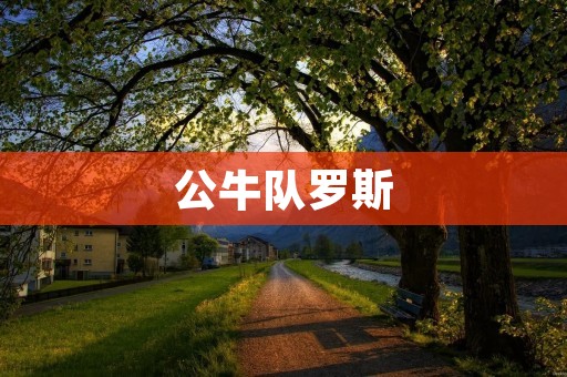 公牛队罗斯:NBA历史上最具天赋的控球后卫 公牛队罗斯:NBA历史上最具天赋的控球后卫