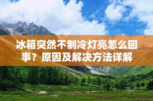 冰箱突然不制冷灯亮怎么回事？原因及解决方法详解