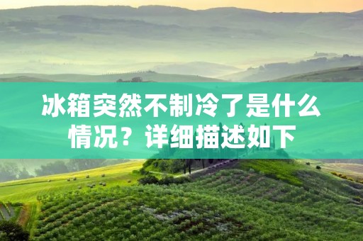 冰箱突然不制冷了是什么情况？详细描述如下：