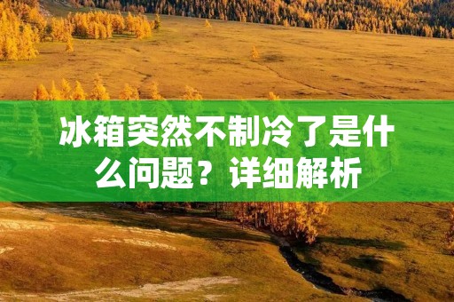冰箱突然不制冷了是什么问题？详细解析