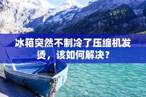 冰箱突然不制冷了压缩机发烫,该如何解决? 冰箱突然不制冷了压缩机发烫,该如何解决?
