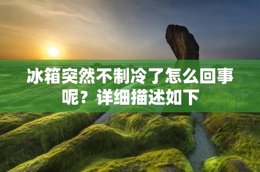 冰箱突然不制冷了怎么回事呢？详细描述如下：