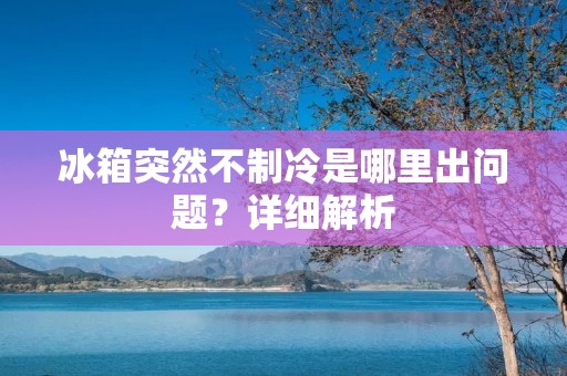 冰箱突然不制冷是哪里出问题?详细解析 冰箱突然不制冷是哪里出问题?详细解析