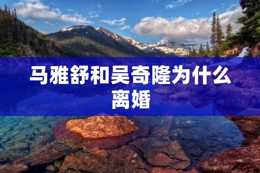 马雅舒和吴奇隆为什么离婚