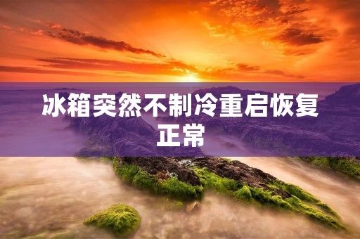 冰箱突然不制冷重启恢复正常:故障排查及解决方法 冰箱突然不制冷重启恢复正常:故障排查及解决方法