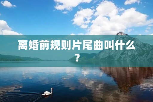 离婚前规则片尾曲叫什么? 离婚前规则片尾曲叫什么?