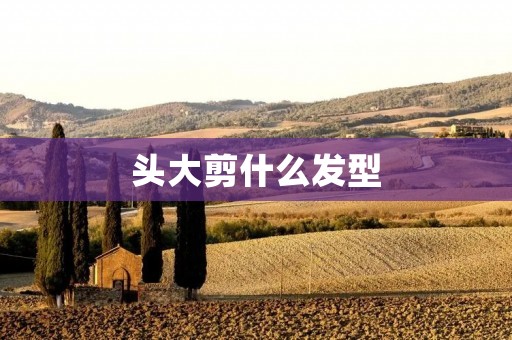 头大剪什么发型