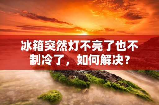 冰箱突然灯不亮了也不制冷了,如何解决?