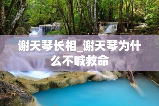 谢天琴长相_谢天琴为什么不喊救命